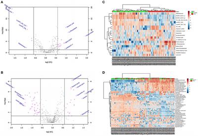 Serum Metabolomics Study of Papillary Thyroid Carcinoma Based on HPLC-Q-TOF-MS/MS